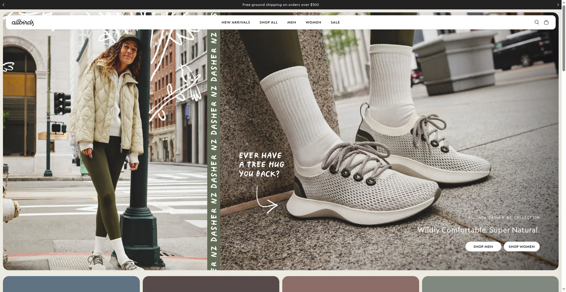 Screenshot of the Allbirds Shopify storefront